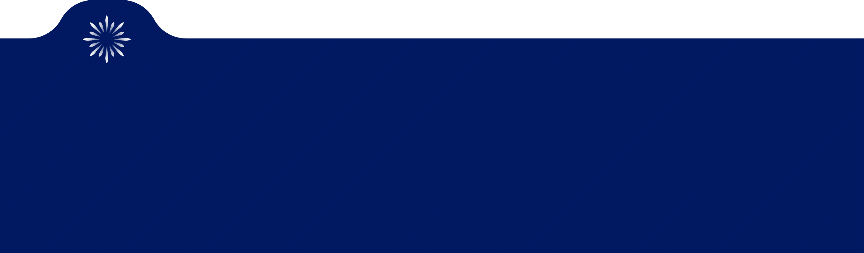 Intro Shape background