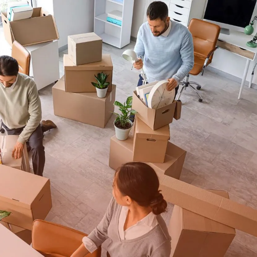 packing and storing of boxes