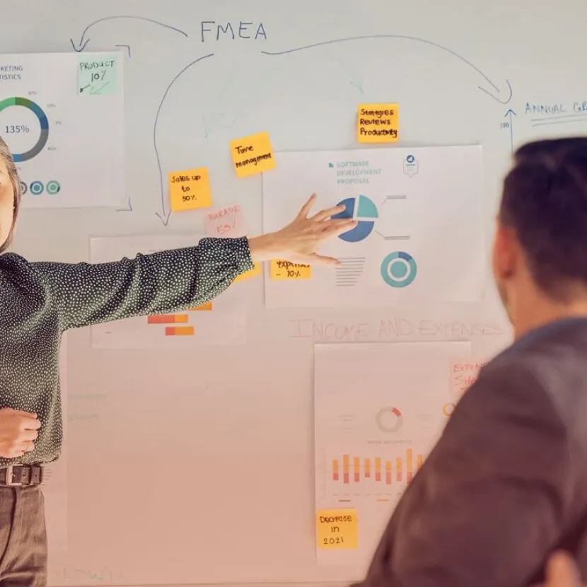 explaining charts for FMEA to team