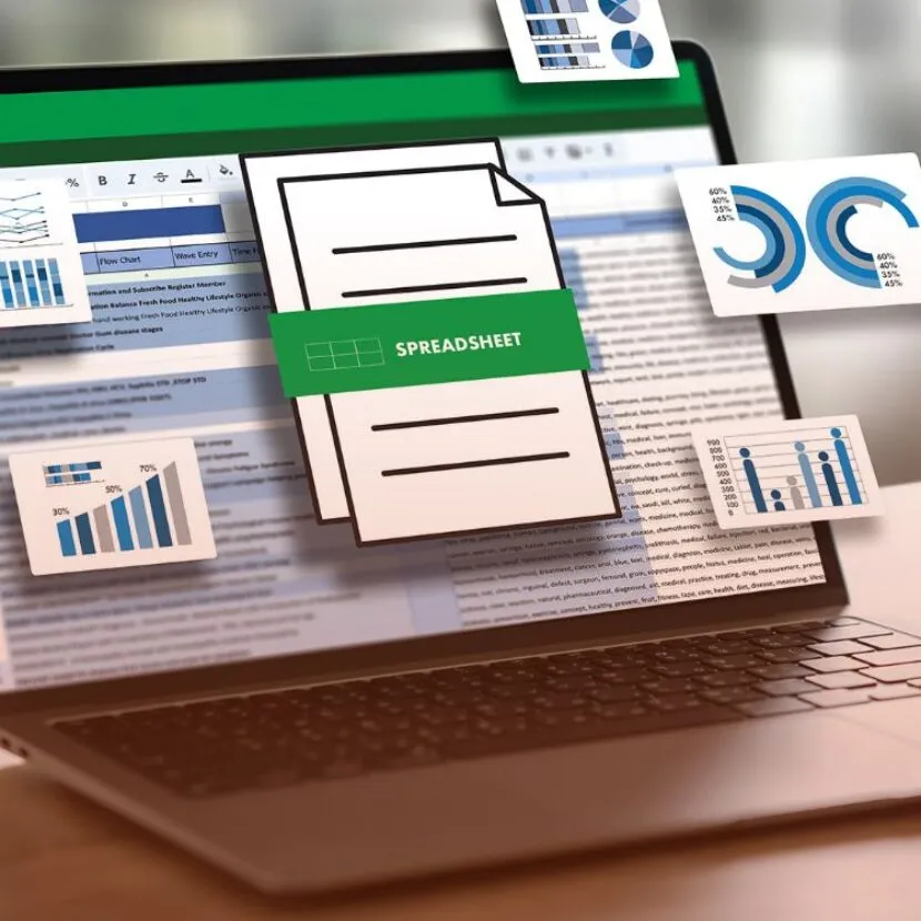 spreadsheet graphic display