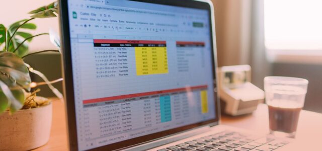 excel spreadsheet laptop view